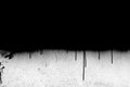 Grunge texture and background, black and white paint spray pattern Royalty Free Stock Photo