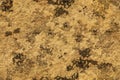 Seamless grunge texture with vintage bronze cracks for textile print.