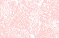 Grunge texture. Distress pink rough