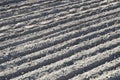 Grunge texture of farming rough surface Royalty Free Stock Photo