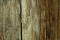 Grunge texture of old and rotten wood Royalty Free Stock Photo