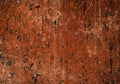 Grunge texture. Scratches on rough surface