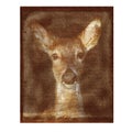 Grunge Textured Deer Royalty Free Stock Photo
