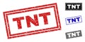 Grunge TNT Textured Rectangle Stamp Seals Royalty Free Stock Photo