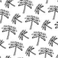 Grunge tropical palm nature tree background Royalty Free Stock Photo