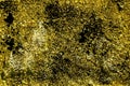 Grunge Ultra yellow Ground like on Mars, land texture, sand surface, stone background