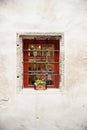 Grunge urban background texture aged old concrete wall with window and flowers