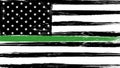 Grunge USA flag with a thin green line