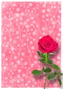 Grunge used paper in scrapbooking style with roses Royalty Free Stock Photo