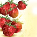 Grunge vector background with realistic strawberry