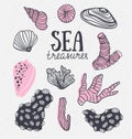 Grunge vector backgroung with sea treasures - corals, cockleshells, stones, seaweed. Vector illustration.