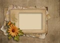 Grunge Vintage Background With Old Frame And Flowers