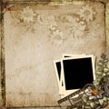 Grunge vintage background with polaroid-frame Royalty Free Stock Photo