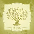 Grunge vintage label with olive tree Royalty Free Stock Photo