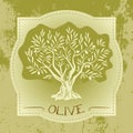 Grunge vintage label with olive tree Royalty Free Stock Photo