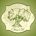 Grunge vintage label with olive tree Royalty Free Stock Photo
