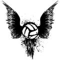 Grunge volleyball with wings