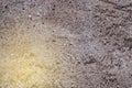 Grunge wall cement texture in sunbeam light , plaster background.