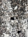 Grunge wall creaks textured background. Royalty Free Stock Photo
