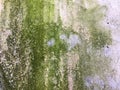 Grunge wall of the old house. Green smudges on concrete texture Royalty Free Stock Photo