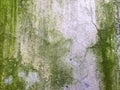 Grunge wall of the old house. Green smudges on concrete texture Royalty Free Stock Photo