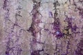 Grunge wall texture background. Old cracked paint on concrete wall Royalty Free Stock Photo