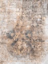 Grunge wall texture. High resolution vintage background Royalty Free Stock Photo
