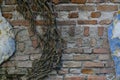 Grunge wall texture with old red bricks and roots. Royalty Free Stock Photo