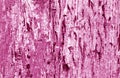 Grunge weathered wooden plank surface in pink tone Royalty Free Stock Photo