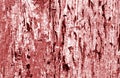 Grunge weathered wooden plank surface in red tone Royalty Free Stock Photo
