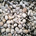 Grunge white stone gravels, contaminated by dirty black stain. Royalty Free Stock Photo