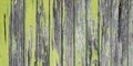 Grunge wood board green grey old style abstract panel background Royalty Free Stock Photo
