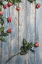 Grunge wooden background with pink roses Royalty Free Stock Photo