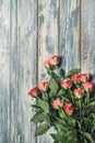 Grunge wooden background with pink roses bouqet Royalty Free Stock Photo