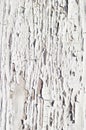 Grunge Wooden Texture Wall with White Paint is severely peeling Old Style Abstract Background Royalty Free Stock Photo