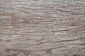 Grunge wooden texture, Empty wood background Royalty Free Stock Photo