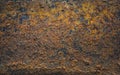 Grunge yellow rustic texture   metal background Royalty Free Stock Photo