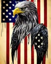 Grungy American Bald Eagle Flag on Transparent Background Royalty Free Stock Photo