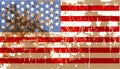 Grungy american flag Royalty Free Stock Photo