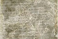 Grungy antique floral background Royalty Free Stock Photo