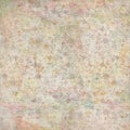 Grungy Antique Vintage Floral Background