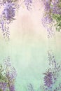 Grungy background with floral border