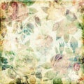 Grungy botanical vintage roses shabby background Royalty Free Stock Photo