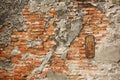 Grungy brick wall texture Royalty Free Stock Photo