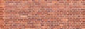 Grungy Brick Wall Texture Royalty Free Stock Photo