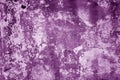 Grungy cement wall texture in purple tone Royalty Free Stock Photo