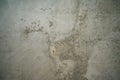 Grungy concrete surface for background Royalty Free Stock Photo