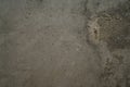 Grungy concrete surface for background Royalty Free Stock Photo