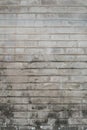 Grungy white brick wall with black moss