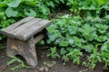 grungy garden kneeler beside fresh plantings Royalty Free Stock Photo